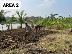 Dukung Ketahanan Pangan, Brimob Polri Siapkan 5 Ha Lahan untuk Tanam Jagung Bareng Warga Karawang Timur